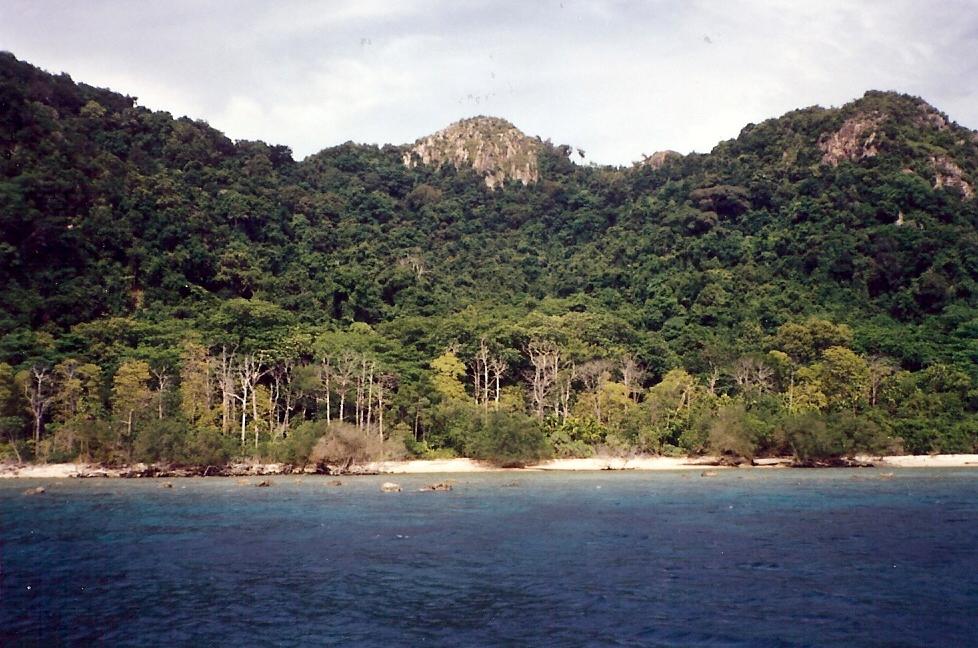 pulau_repong